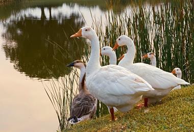 pexels-riya-nanavati-3816978-5658261