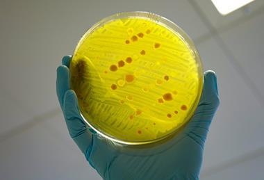 Antimicrobial_resistance