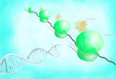 Low-Res_GA_eng_251022_kato_ea