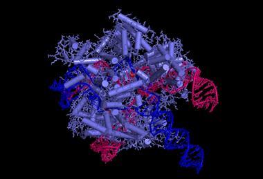 CRISPR_CAS9_technology