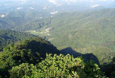 王子山森林公园_-_panoramio