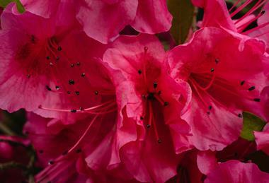 pexels-marina-zasorina-7718168