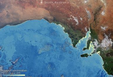 Algae_bloom_chlorophyll_South_Australia_ESA512113