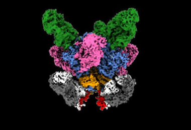 Low-Res_2X10E8 without disc overlay