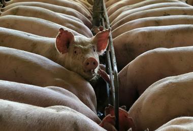 pexels-barbara-barbosa-2859157-4636976