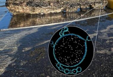 Low-Res_Image 1_Burns copy