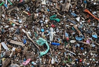 pexels-aomata-10143821