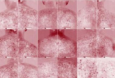 Low-Res_1 (1)