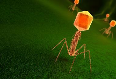 iStock-1179029438 (1)