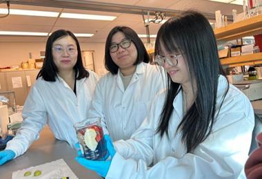 Low-Res_Tianxi Yang Ivy Chiu Ling Guo