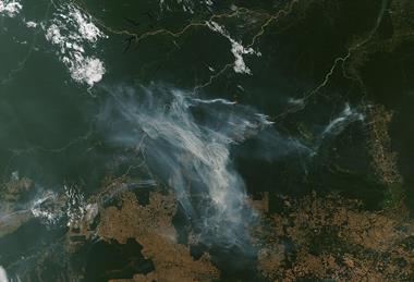 Deforestation_Heats_Up_in_Brazil_(MODIS_2024-08-01)
