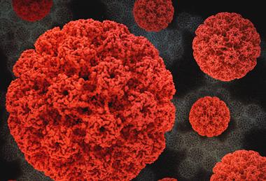 HumanPapillomavirus