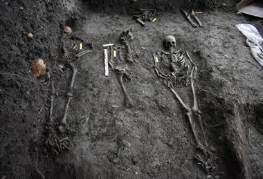 Low-Res_Skeletons, Stavanger