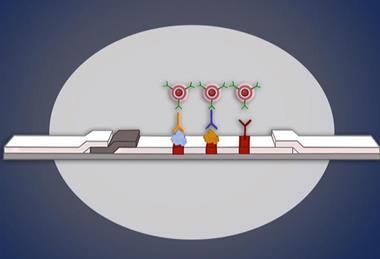 Low-Res_rapid-syphilis-test-nanoparticle-header
