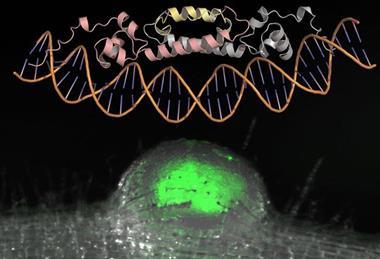 Low-Res_p20260131040000