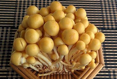 42_-_IMG_20150804_122323