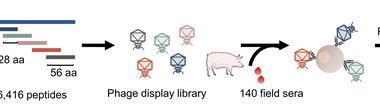 Low-Res_图片31
