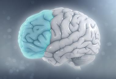 Attention_deficit_hyperactivity_disorder_-_Attention_deficit_hyperactivity_disorder_-_Reduced_brain_volume_on_the_left_side_from_ADHD