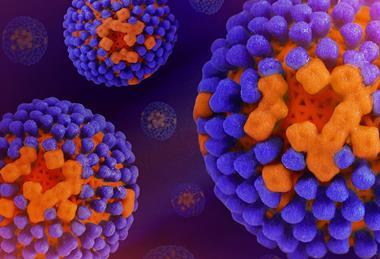Influenza_Virus_-_52636756737 (1)
