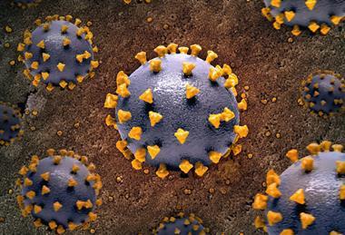 national-institute-of-allergy-and-infectious-diseases-R7nmUwVU-As-unsplash