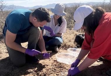 Low-Res_couradeau-helpers-dirt