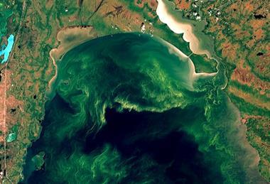 Lake_Winnipeg_Algae_Crisis_(46200453694)