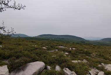 独山风光_20210822_4