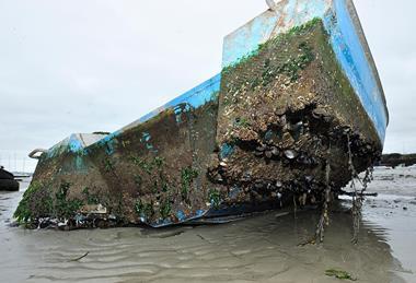 Biofouling_sur_une_embarcation_côtière_(Ifremer_00555-66701_-_43691)