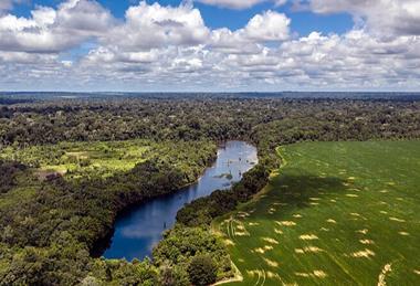 Flona_Tapajós,_Pará,_Brasil_by_Marizilda_Cruppe_-_Rede_Amazônia_Sustantável_(6)_-_50404922503