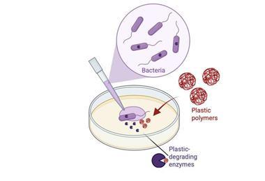 Low-Res_Graphical_Abstract