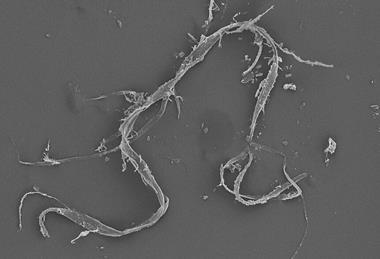 Microplastico_degradado_tipo_fibra