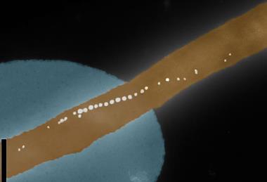 Low-Res_Bakti_on_Cantilever2