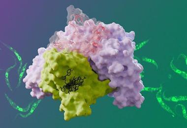 Structure of Trypanosoma brucei nuclear cap-binding complex