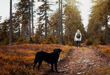 pexels-fr3nks-3107873