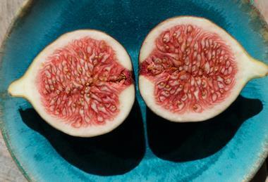 pexels-pixabay-33791