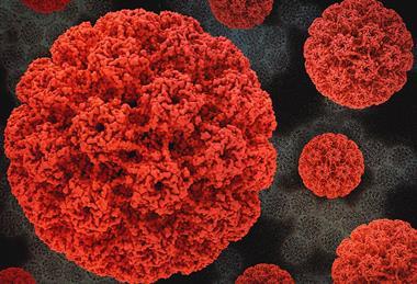 HumanPapillomavirus (1)