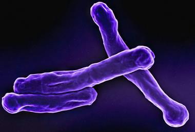 national-institute-of-allergy-and-infectious-diseases-iCtOmuobY0Y-unsplash (1)