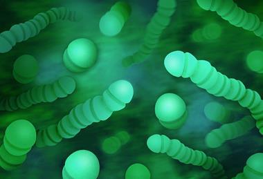 Streptococcus_Pyogenes_(Group_A_Strep)_-_52621802595