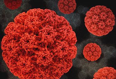 HumanPapillomavirus (1)