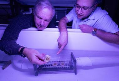 Low-Res_20260319 Prakash Langdon 847A4276 JSP-2