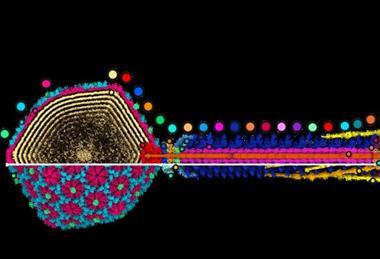 low-res - 2025-11-10T165325.184