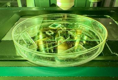 Low-Res_26055-Antiviral Spikes-FINAL-Web-1