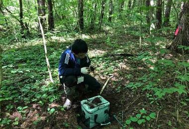 Low-Res_field work in Nagano