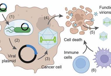 Low-Res_virus Figure 1A