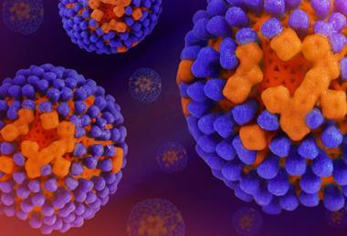 Influenza_Virus_-_52636756737