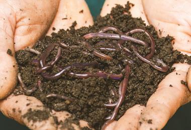 sippakorn-yamkasikorn-6v9w4ZR2TJE-unsplash