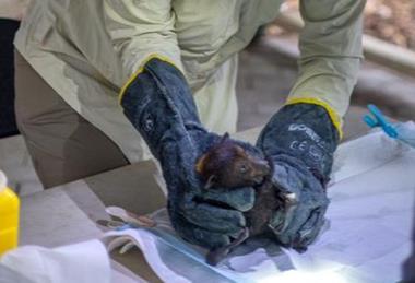 Low-Res_Kathleen_Flynn_8W3A2869A copy