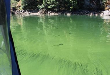 Low-Res_54917234391_b2d5067e76_k
