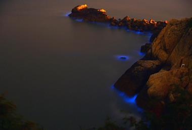 Blue_Tears_in_the_Matsu_Islands