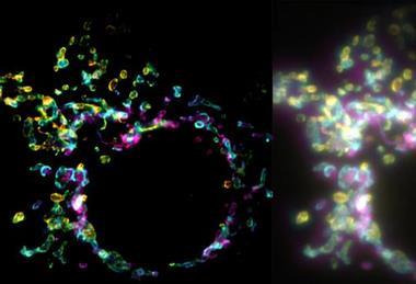 Low-Res_Diptych